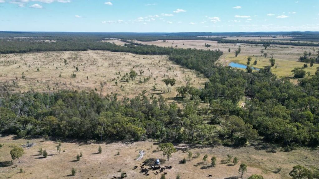 EPBC Act Referral for Captains Mountain Wind Farm Now Open for Public Comment